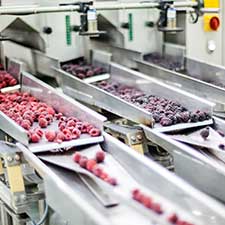 Food Processing page image